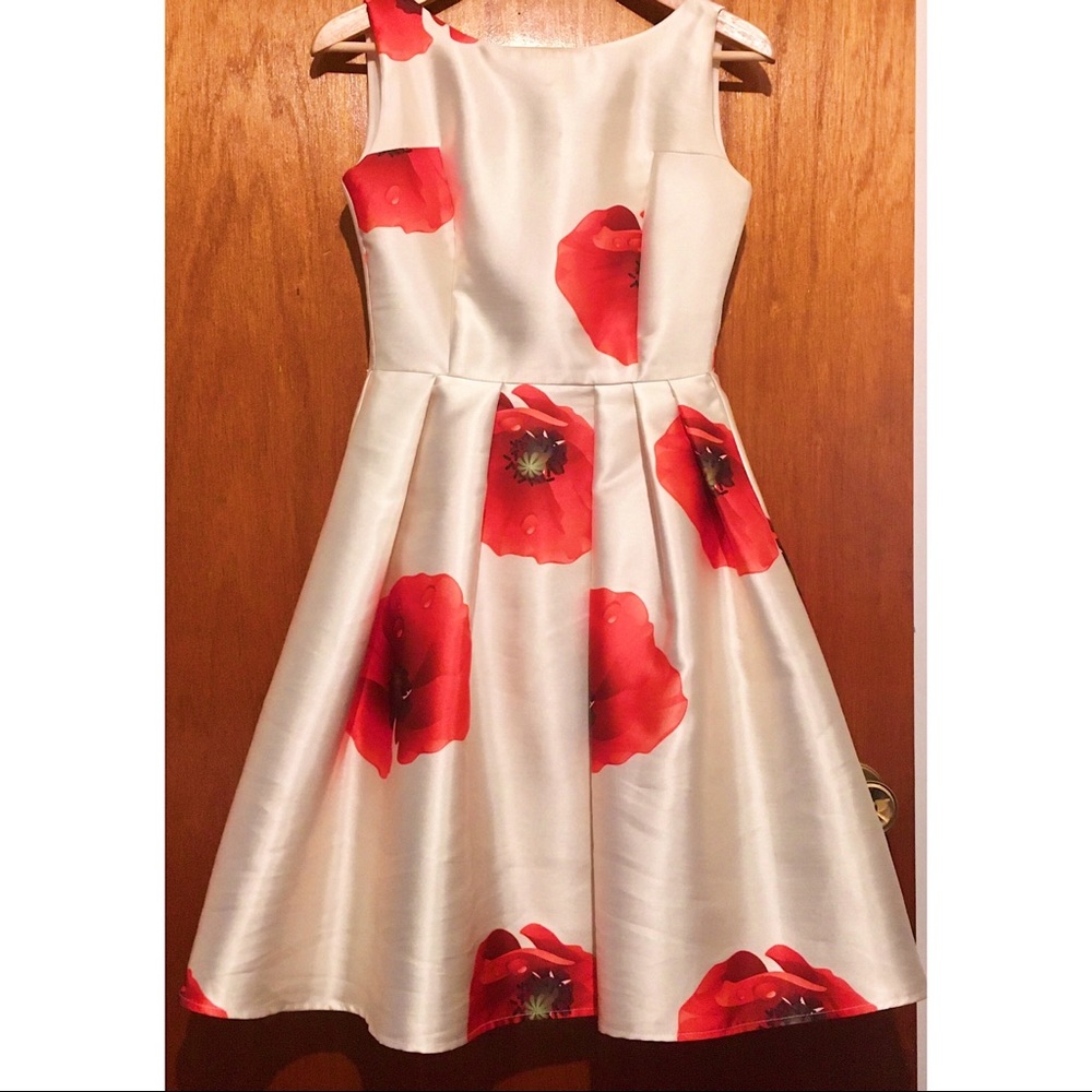 Chicwish XS Floral Poppy Dress